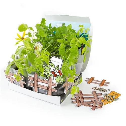 Coffret Mini Potager – Radis et Capucine 🌱 Kit de jardinage pour enfants
