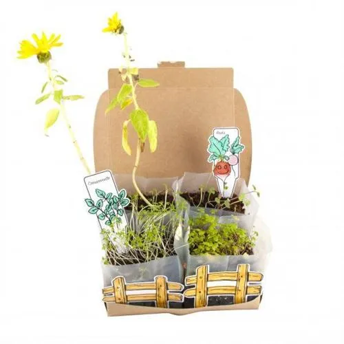 Coffret Mini Potager – Radis et Capucine 🌱 Kit de jardinage pour enfants