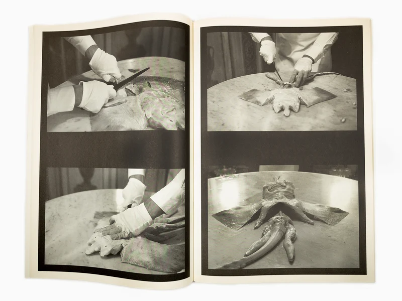 Maurizio Cattelan - Le Dictateur : Solid Sweat