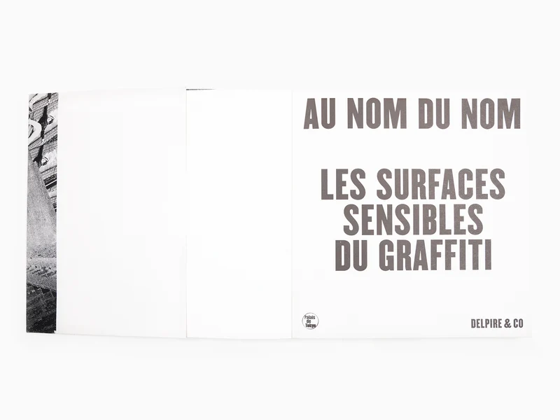 Hugo Vitrani - Au nom du nom : Les surfaces sensibles du graffiti