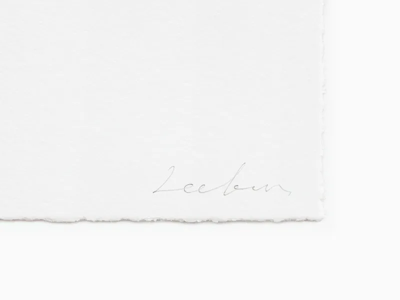 Lee Bae - Trait de pinceau