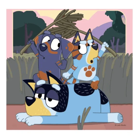 Bluey Adventure (3x49 pcs)