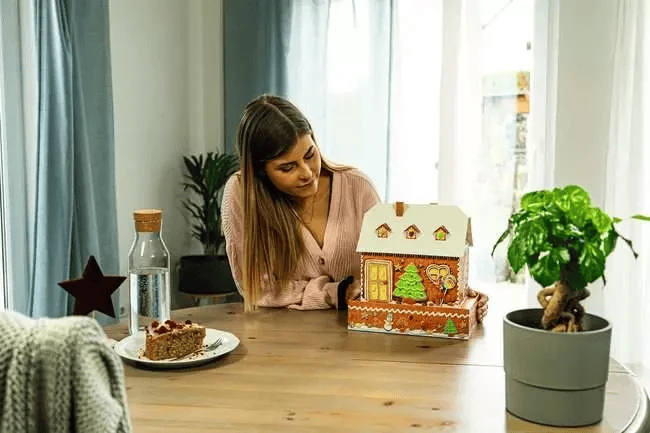 Gingerbread House - Night Edition 3D (216 pcs)