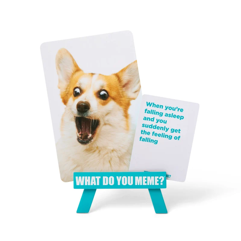 What do you Meme? Family Edition (EN)