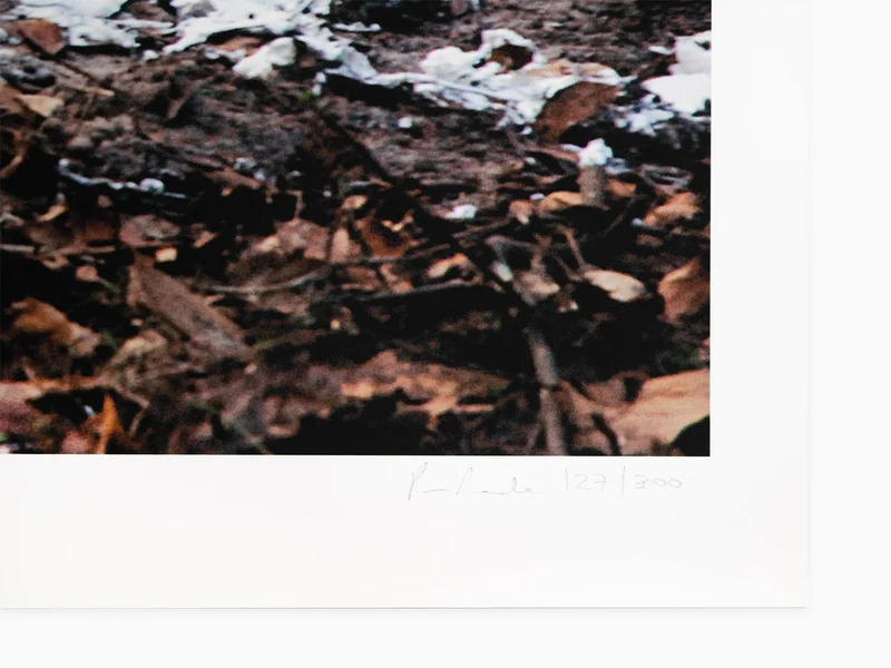 Paola Pivi - Fffffffffffffffff one