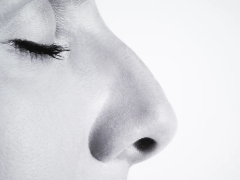 Sophie Calle - Le nez