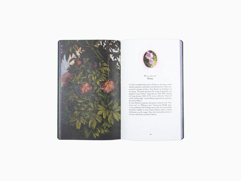 Jean Michel Othoniel - The secret language of flowers