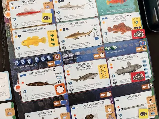 Finspan Sharks and Reefs (EN)