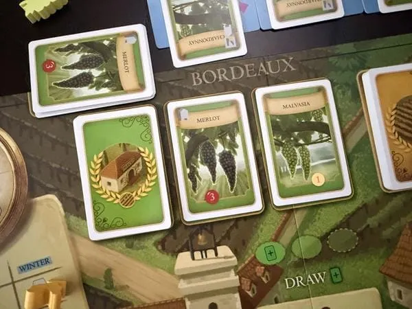 Viticulture: Bordeaux (FR)