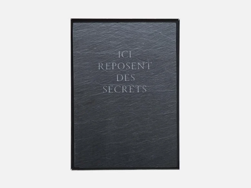 Sophie Calle - Ainsi de suite (édition spéciale)
