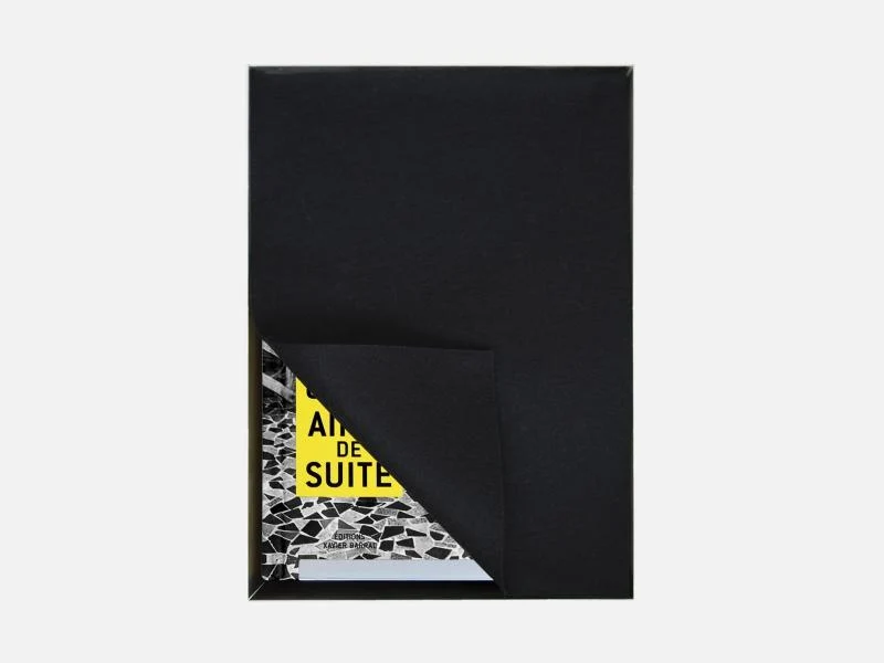 Sophie Calle - Ainsi de suite (édition spéciale)