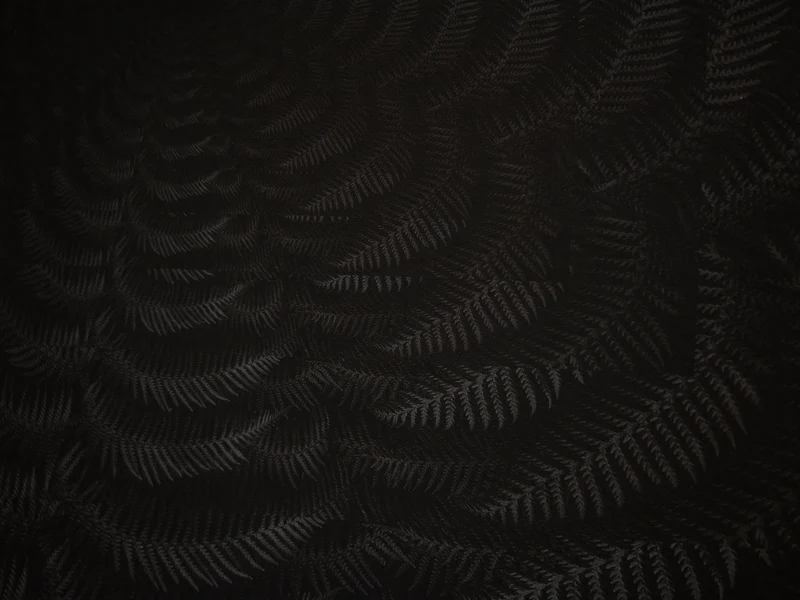 Julian Charrière - Dicksonia Antarctica (édition)