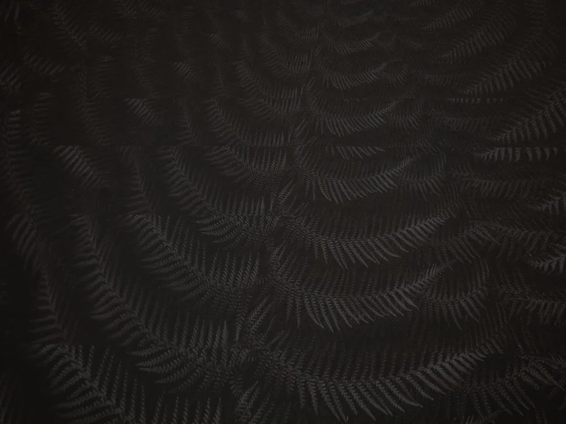 Julian Charrière - Dicksonia Antarctica (édition)