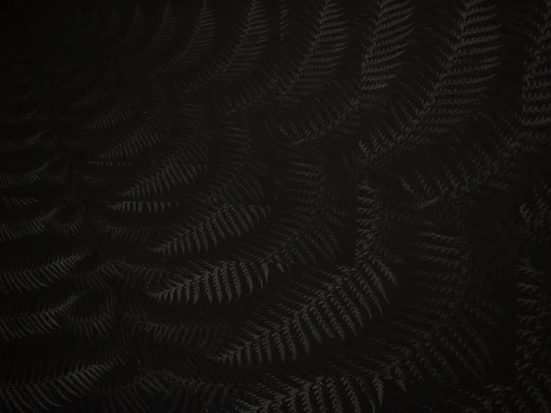 Julian Charrière - Dicksonia Antarctica (édition)