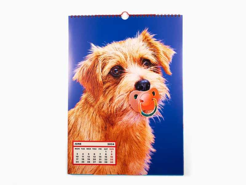 Toiletpaper - Calendrier 2024