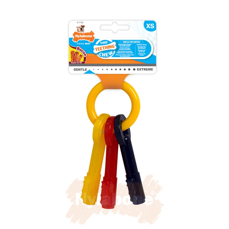 Trousseau de clés à mâcher pour chiot saveur bacon - Nylabone