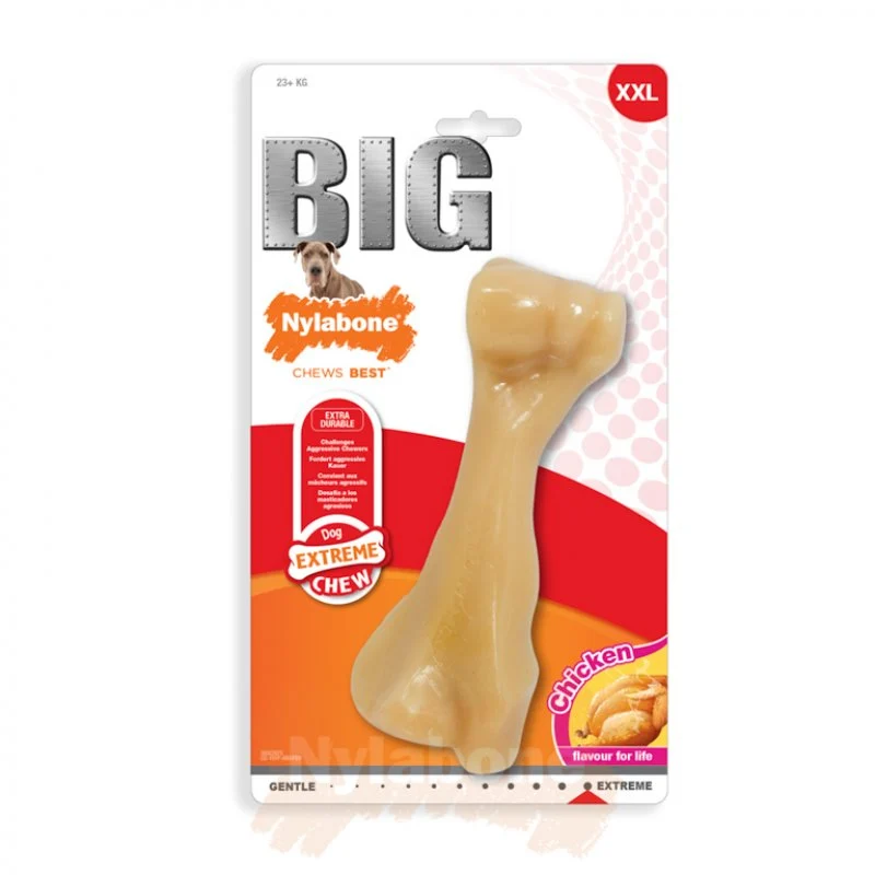 Gros os à mâcher saveur poulet XXL - Nylabone