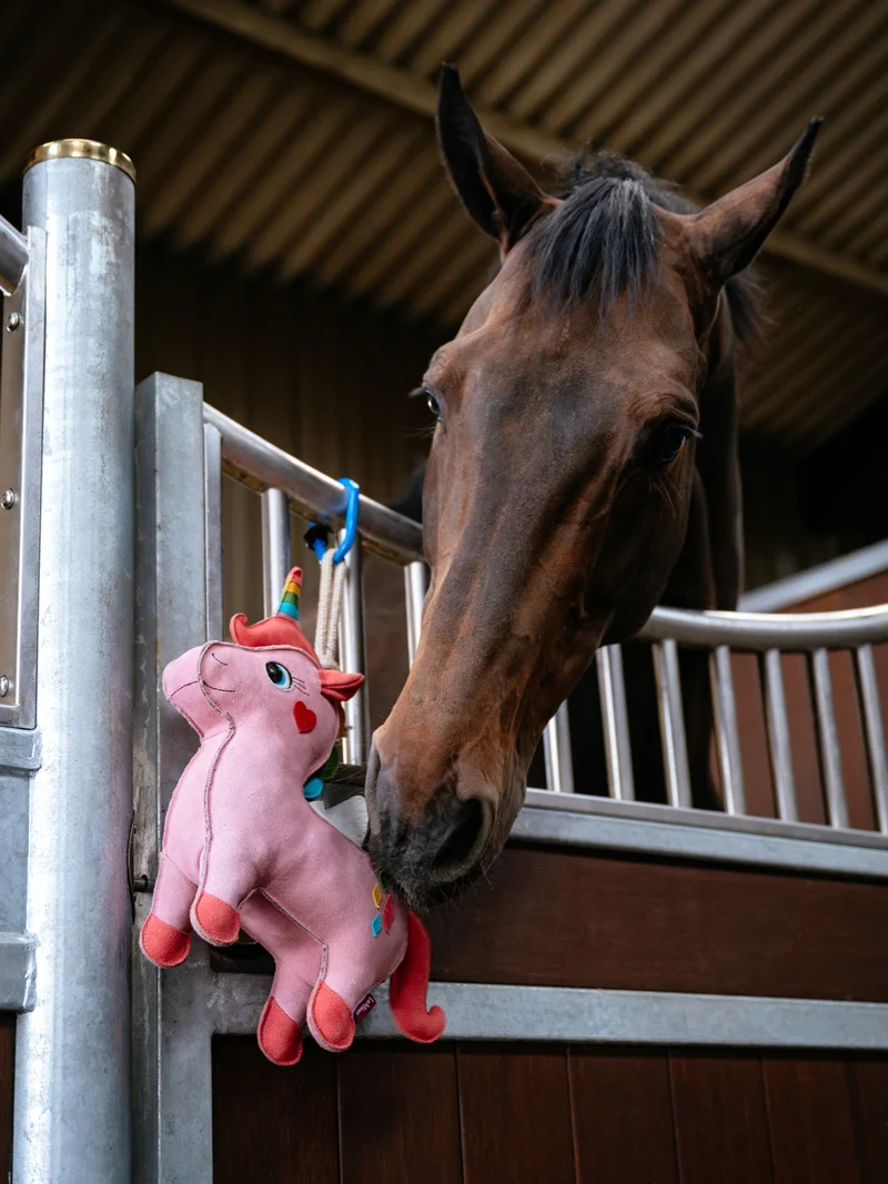 Jouet pour cheval LeMieux Licorne