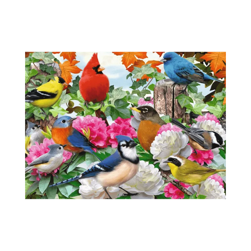 Garden Birds (500 pcs)