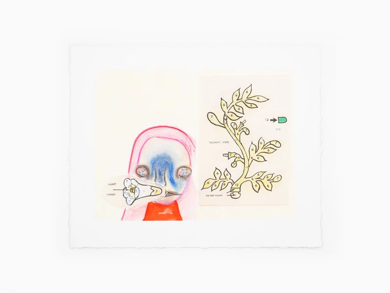 Izumi Kato - "Visible" Leporello (édition spéciale fille)