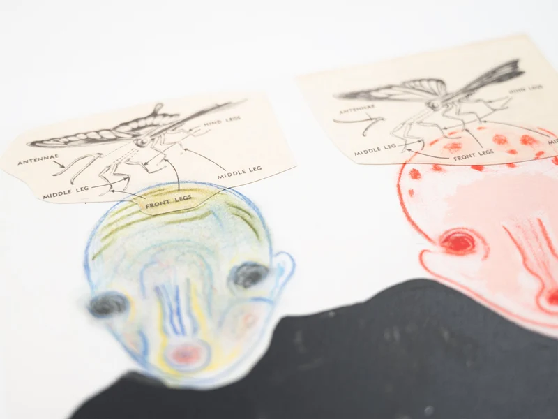Izumi Kato - "Visible" Leporello (Special Edition Boy)
