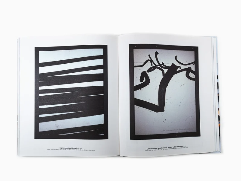 Bernar Venet - Flammarion monographie