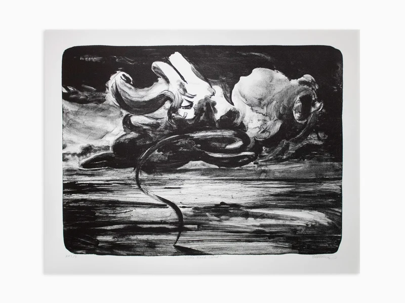Emma Webster - Petit nuage noir
