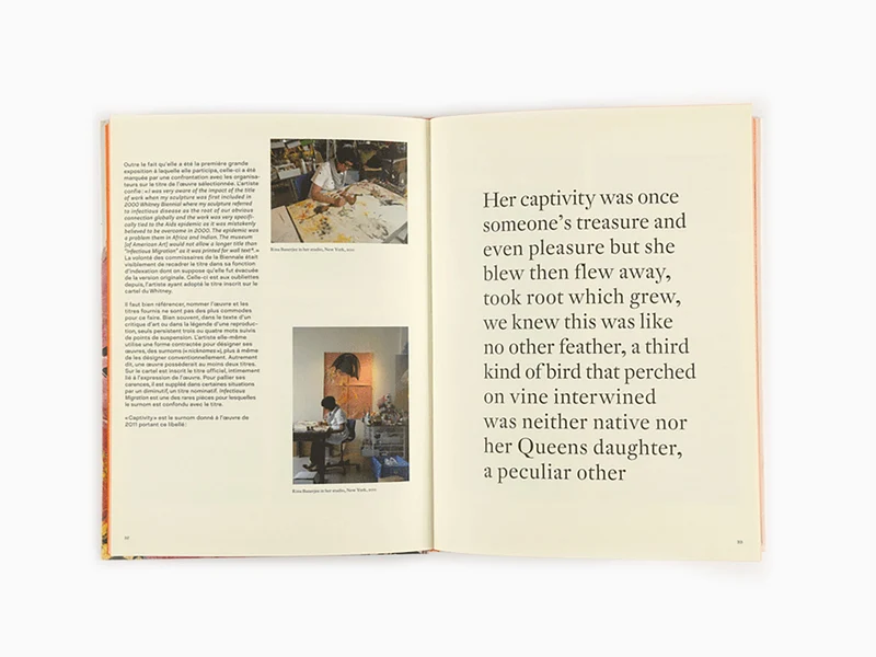 Rina Banerjee - Monograph