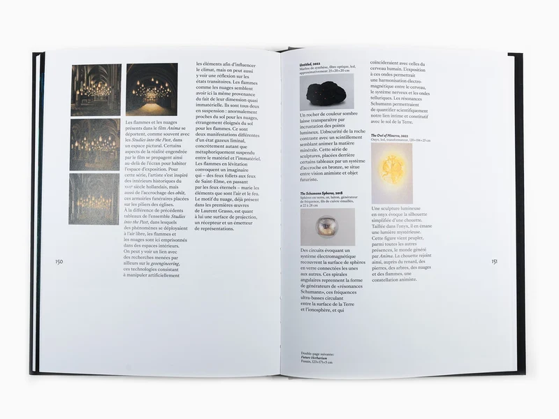 Laurent Grasso - Anima