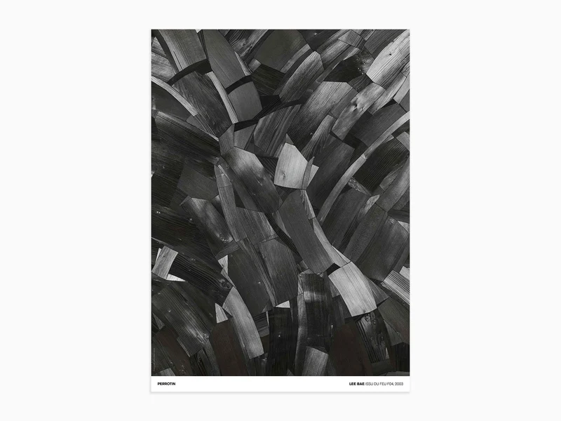 Lee Bae - Issu du Feu F04, 2003 (standard poster)