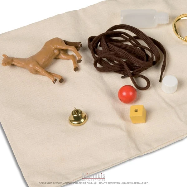 Sac stéréognostique : formes familières