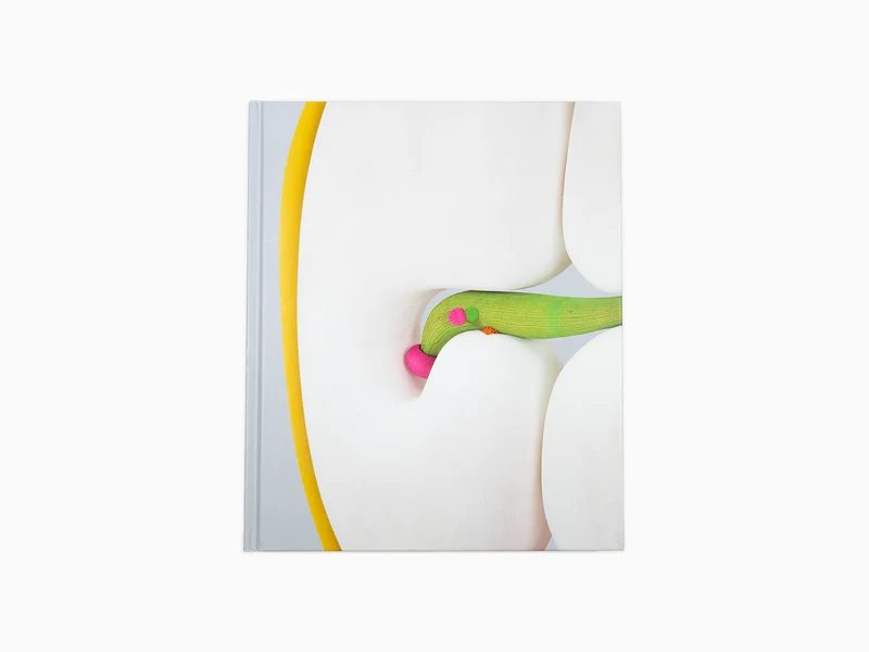 Matthew Ronay - monographie
