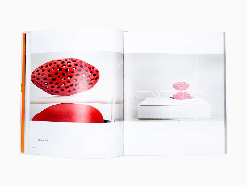 Matthew Ronay - monographie