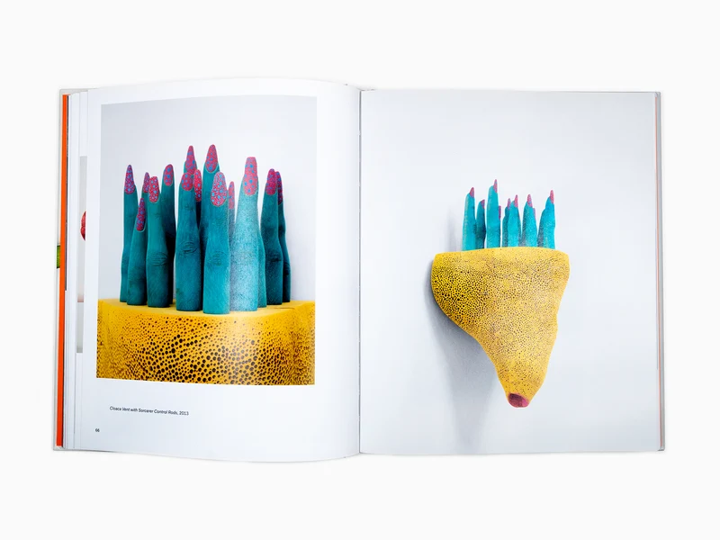 Matthew Ronay - monographie