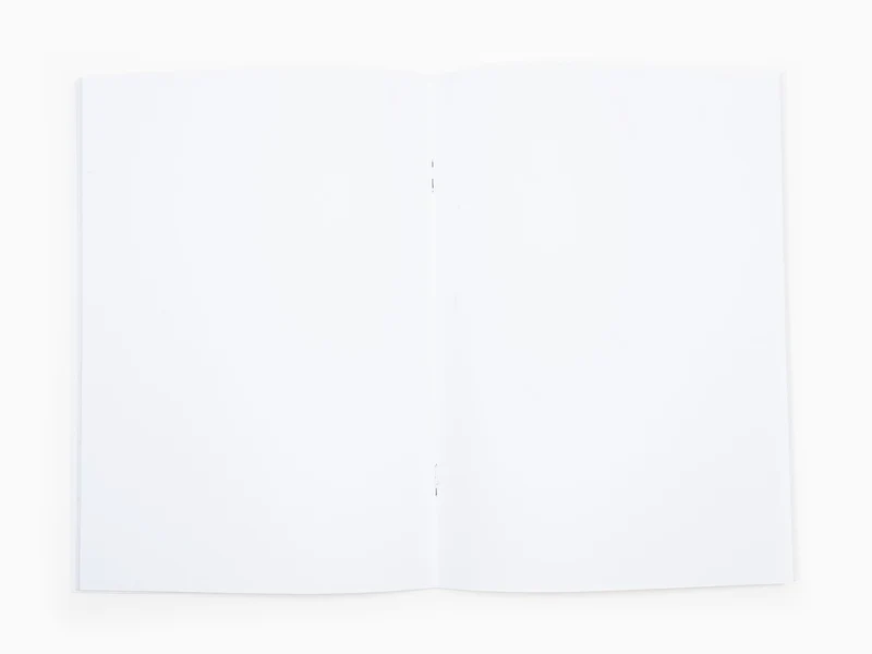 JR - Cahier de notes - Homélie au pays, Alan