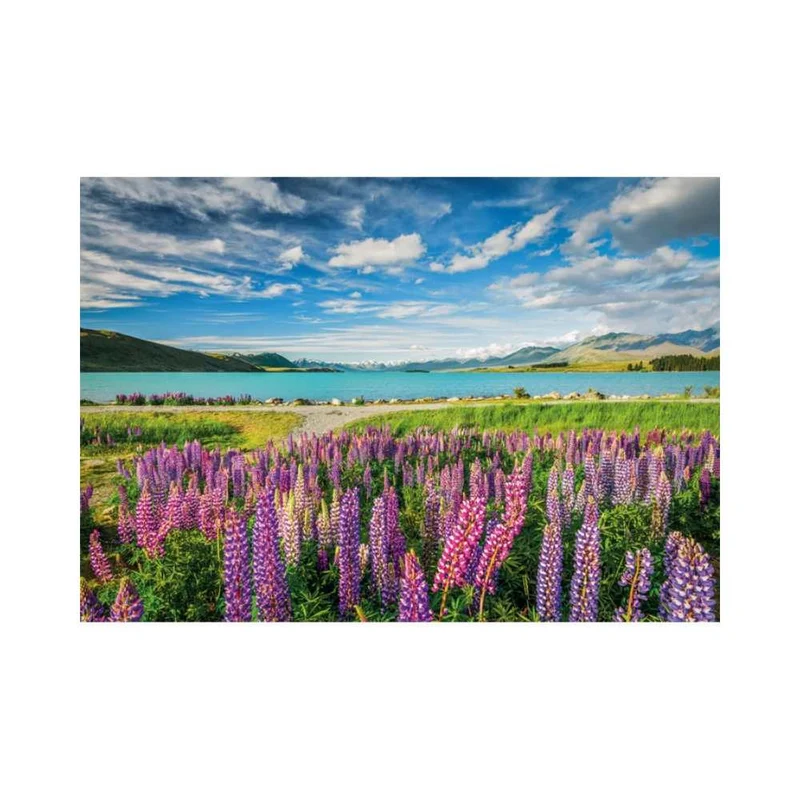 Lupins au lac Tekapo (1500 pcs)