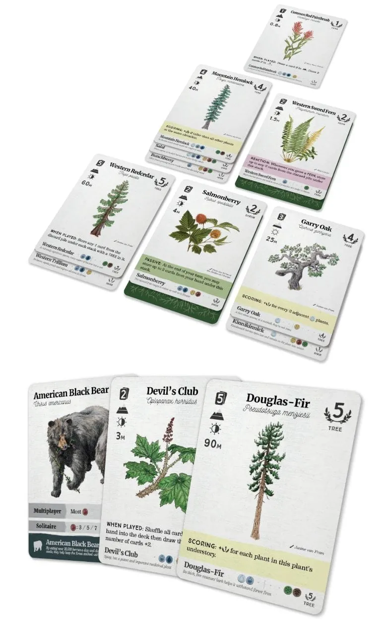 Reforest: Plants of the Pacific Northwest Coast (EN)