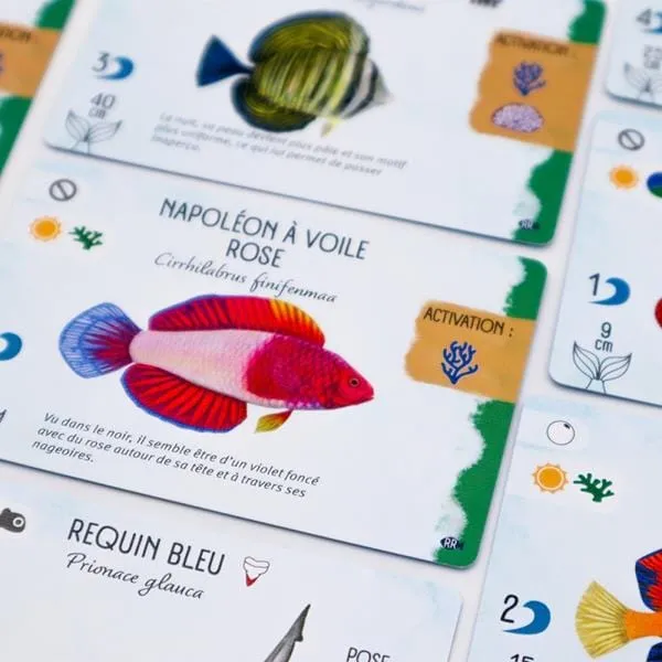 Finspan - ext. Requins et Récifs (FR)