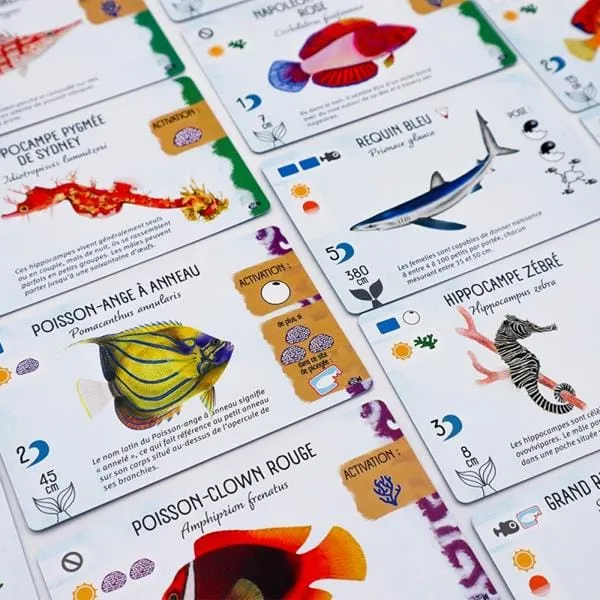 Finspan - ext. Requins et Récifs (FR)