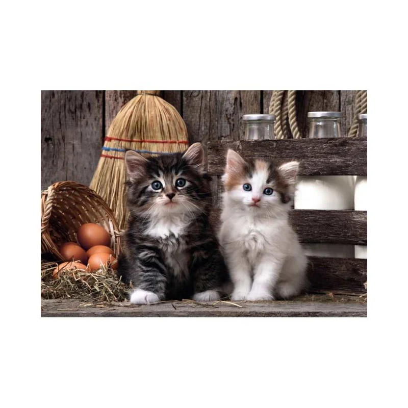 Mignons chatons (1000 pcs)