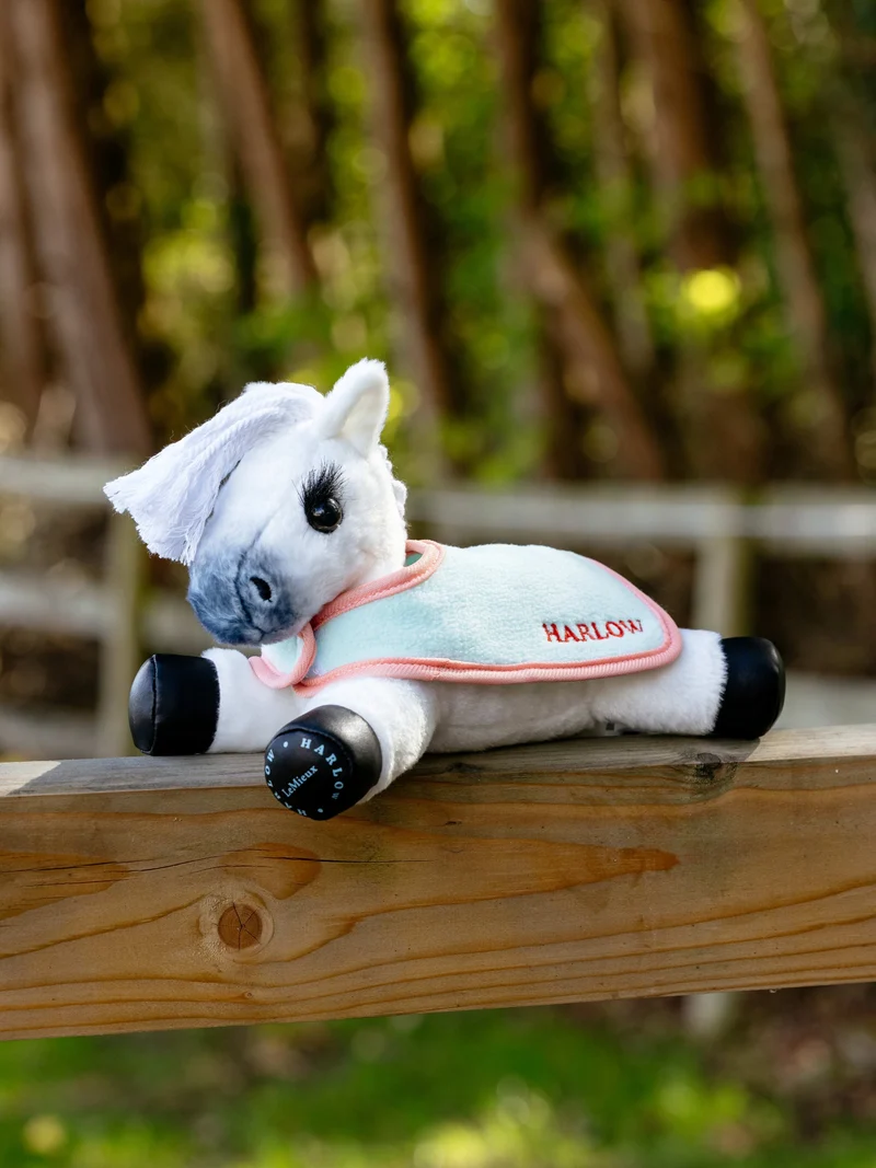 Couvertures Harlow Tiny Pony Mint/Coral Crush