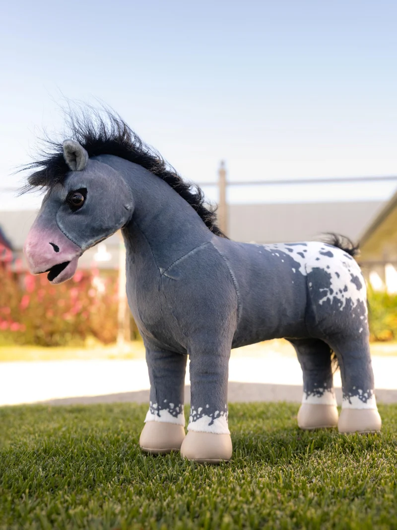 Toy Pony Comet