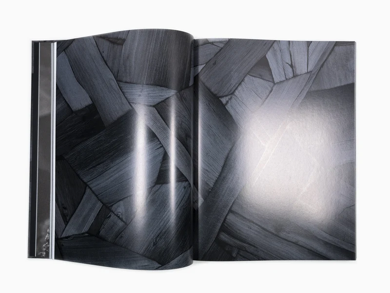 Lee Bae - Perrotin monographie