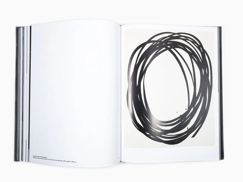 Lee Bae - Perrotin monographie