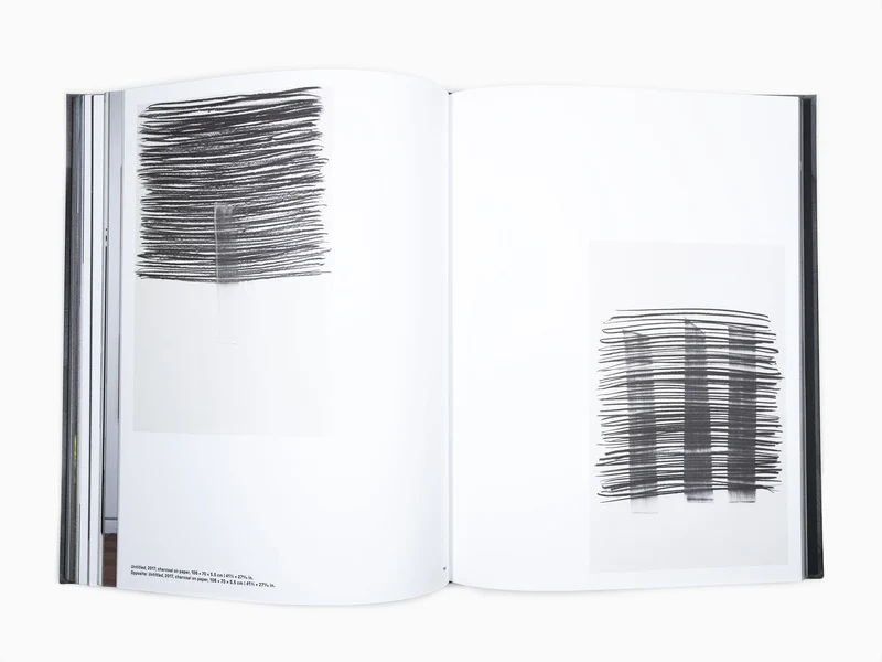 Lee Bae - Perrotin monographie