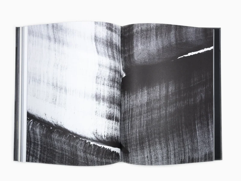 Lee Bae - Perrotin monographie