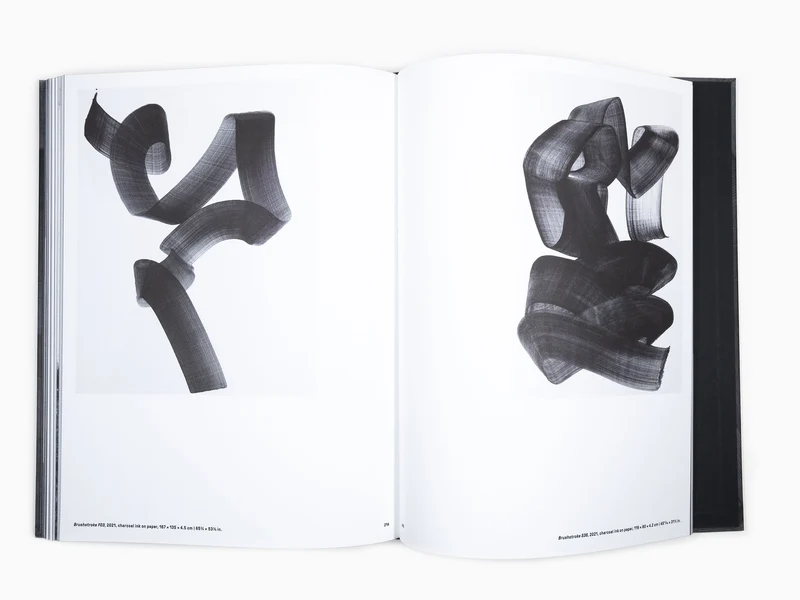 Lee Bae - Perrotin monographie