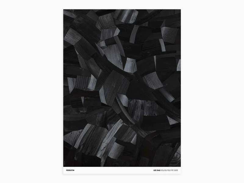 Lee Bae - Issu du Feu F07, 2003 (standard poster)