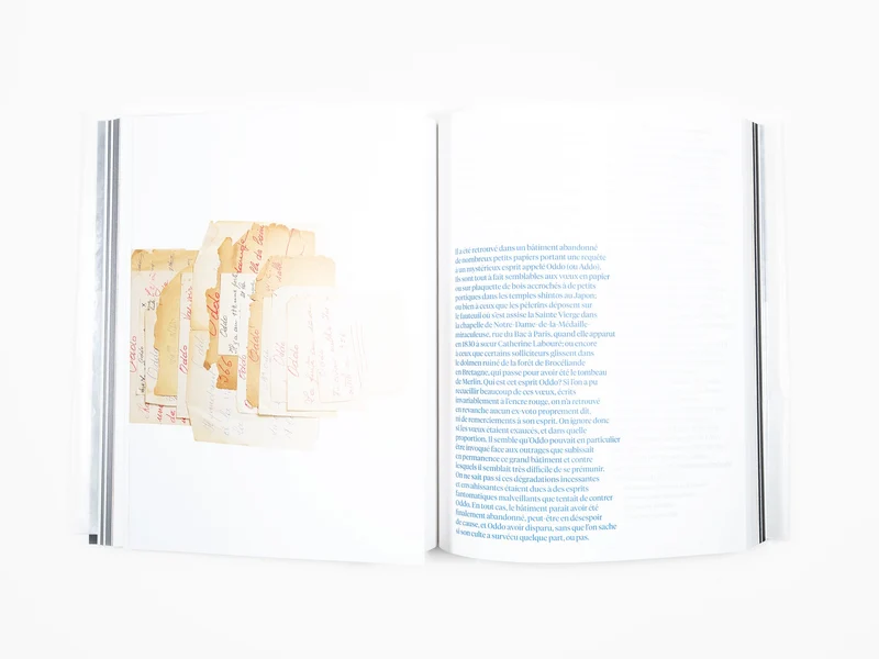 Sophie Calle / Jean-Paul Demoule - L'ascenseur occupe la 501