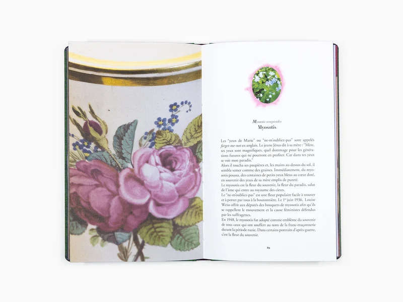 Jean-Michel Othoniel - L'herbier merveilleux notes sur le sens caché des fleurs dans la peinture